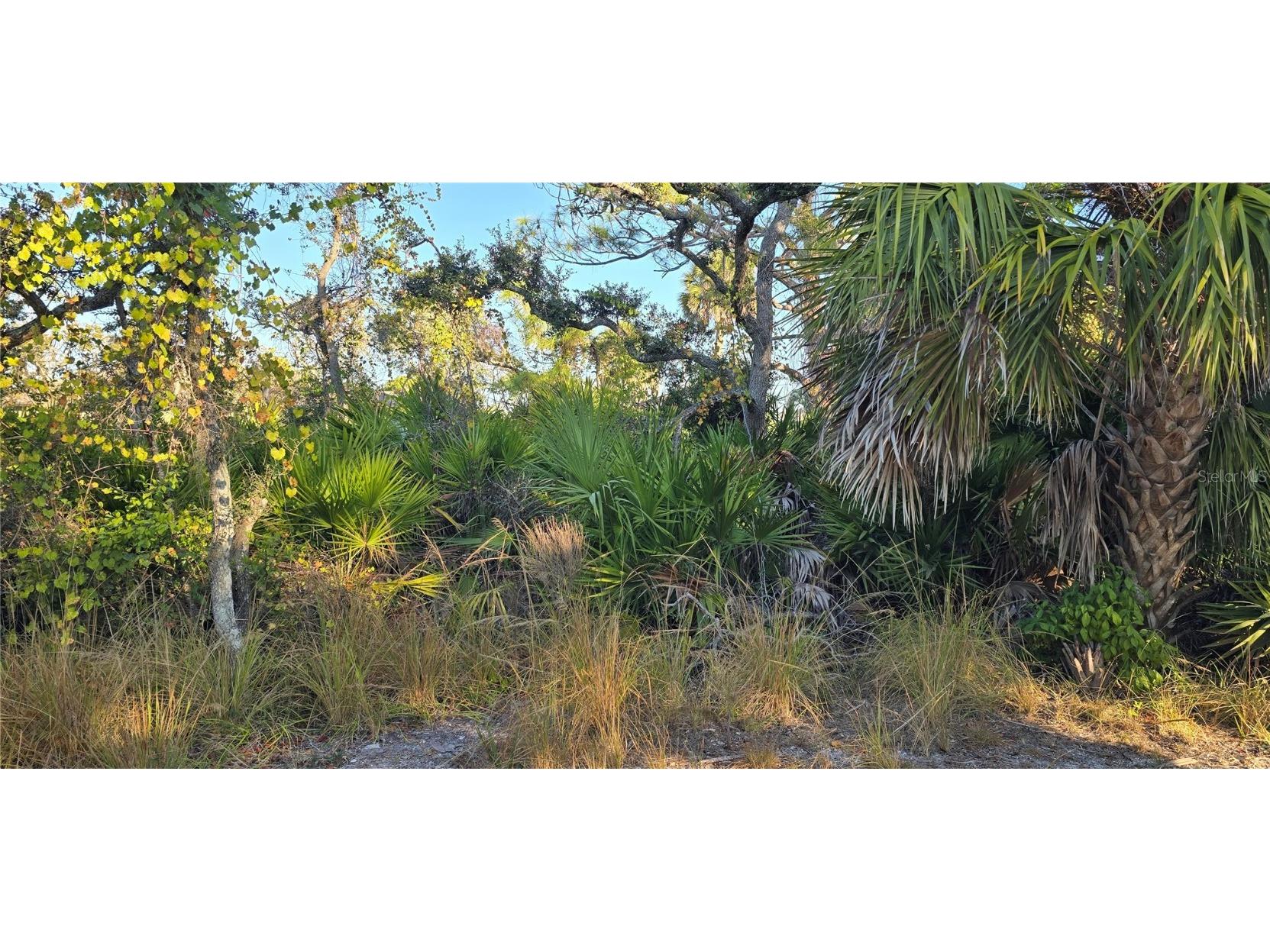 Lemon Avenue Englewood FL 34223 D6144885 image3