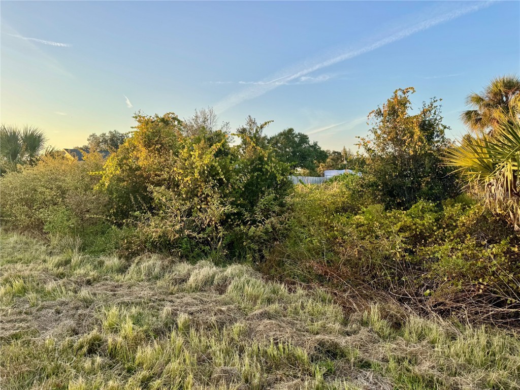 Lenape Lane North Port FL 34291 A4672706 image5