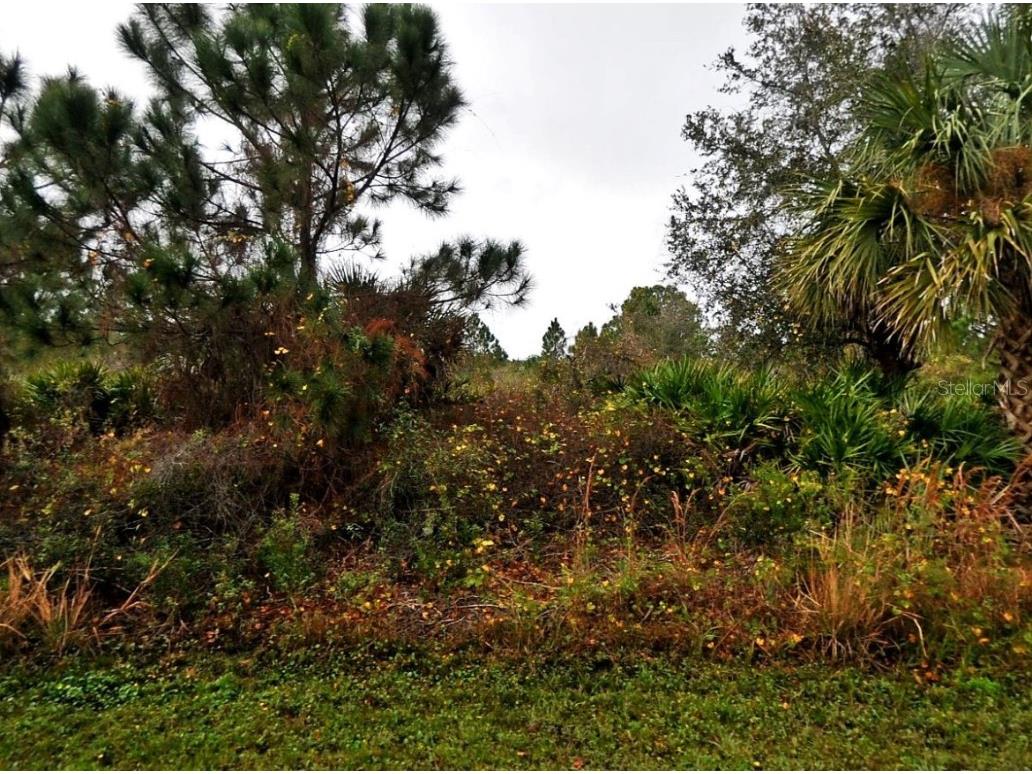 Lenape Lane North Port FL 34291 C7504538 image3