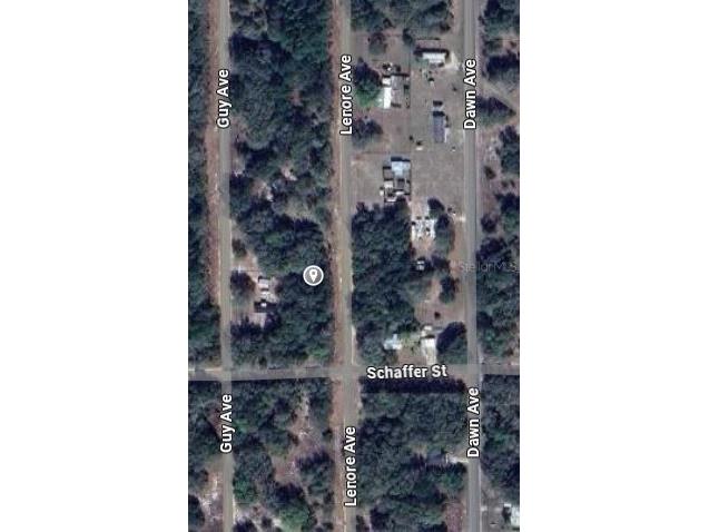 Lenore Avenue Interlachen FL 32148 OM696907 image2