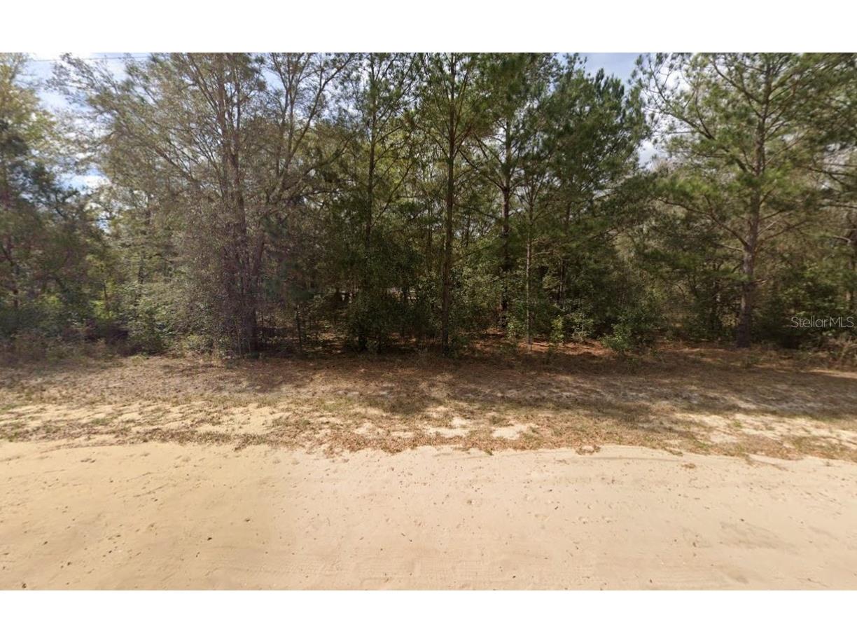 Lenore Avenue Interlachen FL 32148 OM696907 image3