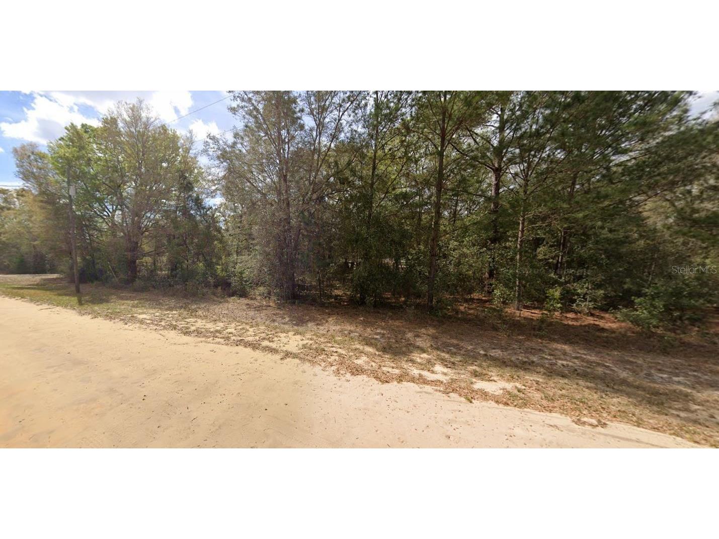 Lenore Avenue Interlachen FL 32148 OM696907 image4