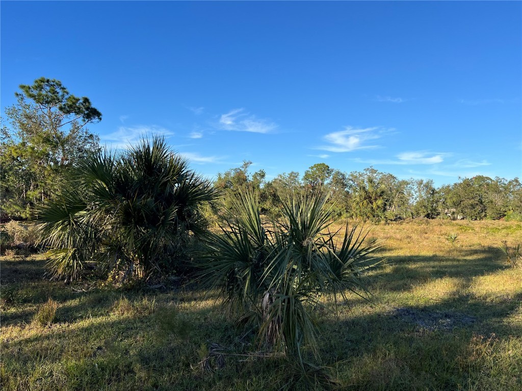 Leon Drive Ellenton FL 34222 A4632587 image10