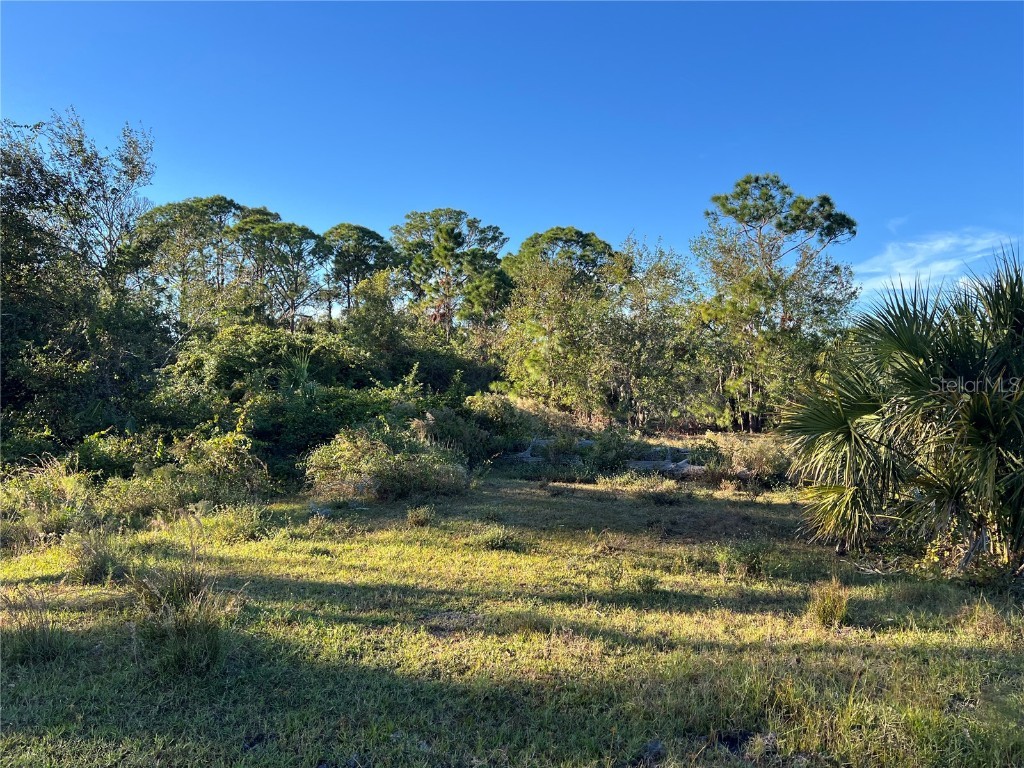 Leon Drive Ellenton FL 34222 A4632587 image14