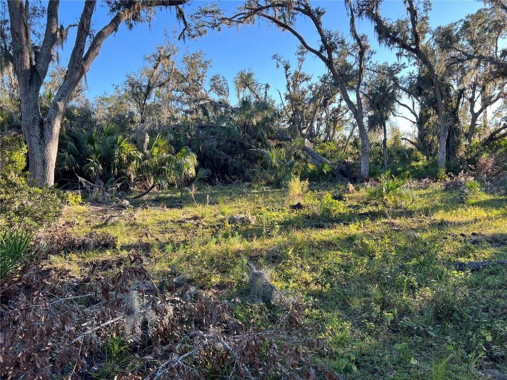 Leon Drive Ellenton FL 34222 A4632587 image15