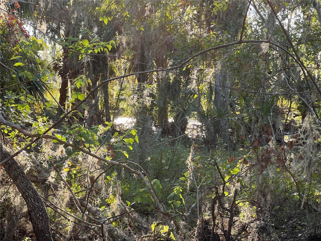 Leon Drive Ellenton FL 34222 A4632587 image17