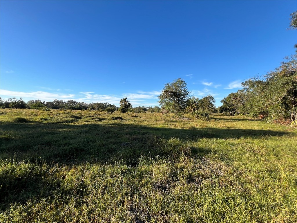 Leon Drive Ellenton FL 34222 A4632587 image8