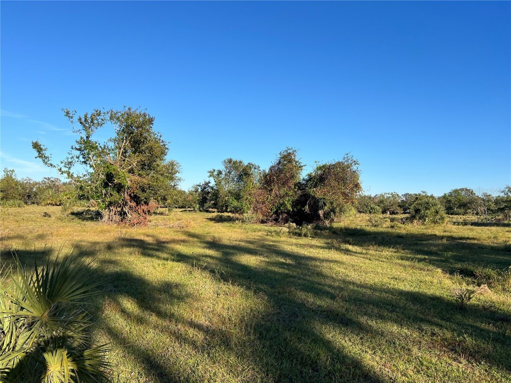 Leon Drive Ellenton FL 34222 A4632587 image9