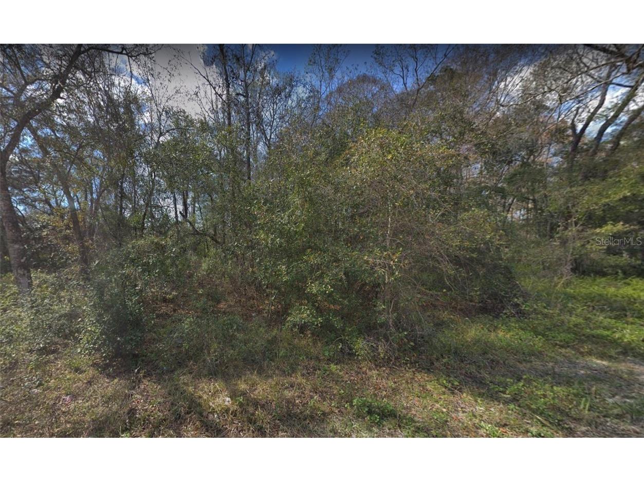 Leon Street New Port Richey FL 34654 U8207134 image1