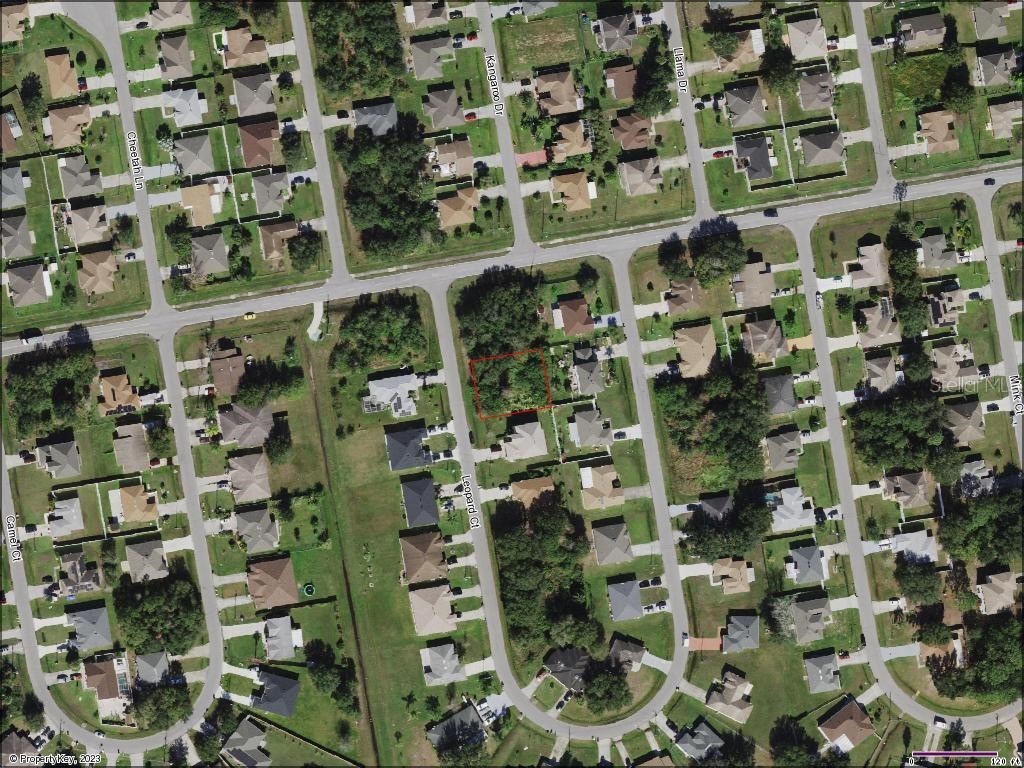 Leopard Court Poinciana FL 34759 S5081433 image1