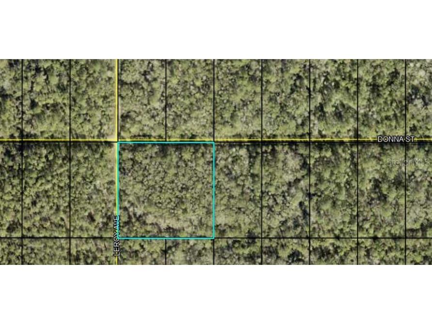 Leroy Ave Hastings FL 32145 FC304874 image1