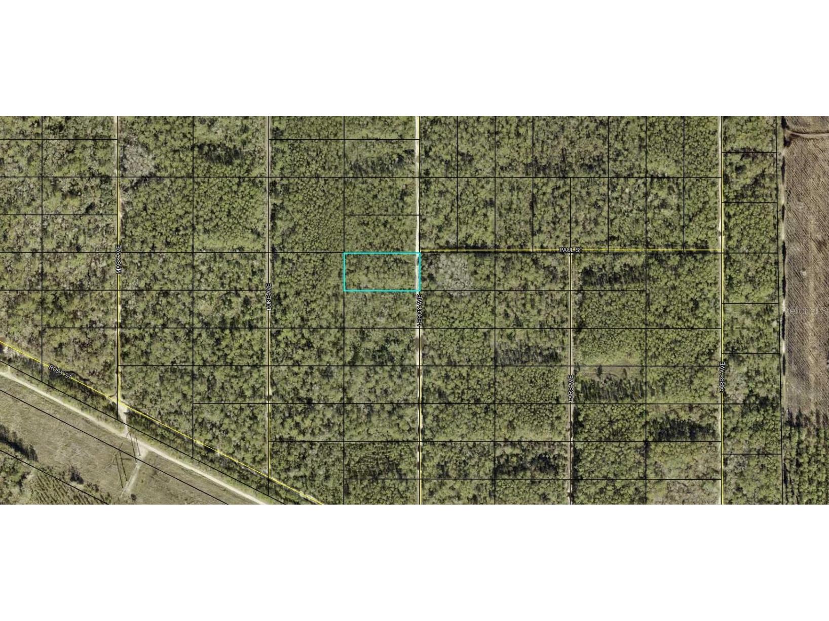 Leroy Avenue Hastings FL 32145 OK224349 image1