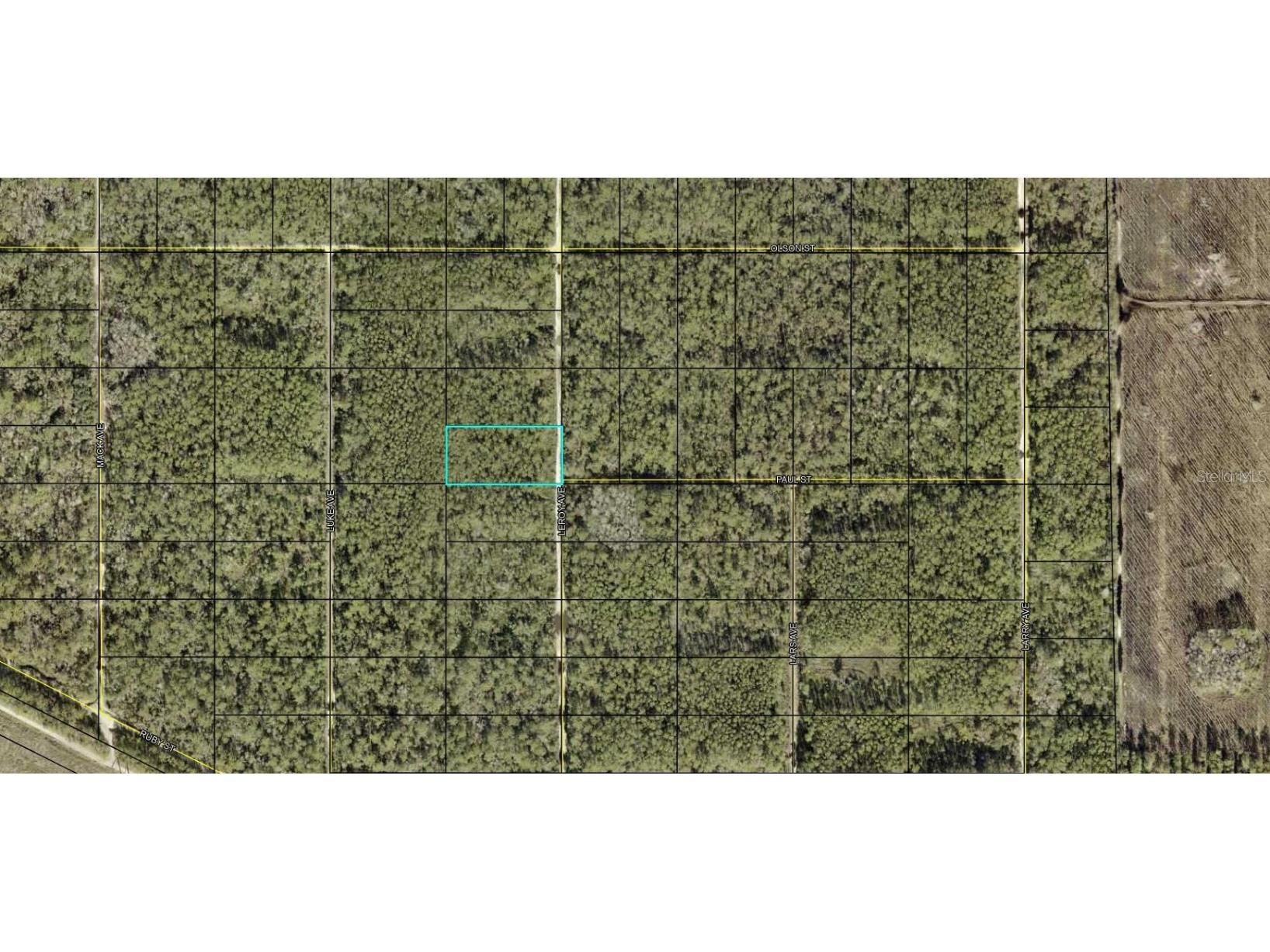 Leroy Avenue Hastings FL 32145 OK224350 image1