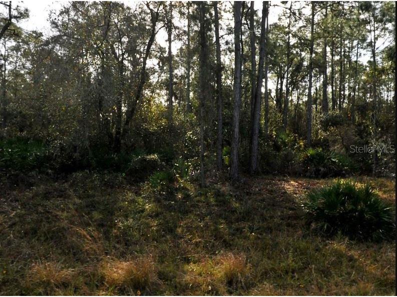 Lestock Avenue North Port FL 34288 O6189744 image2