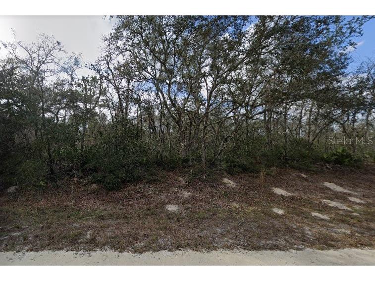 Lewis Lane Webster FL 33597 O5941774 image1