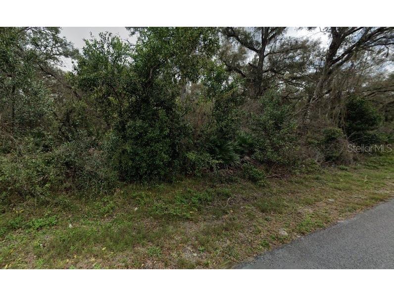 Lewis Lane Webster FL 33597 O5941783 image1