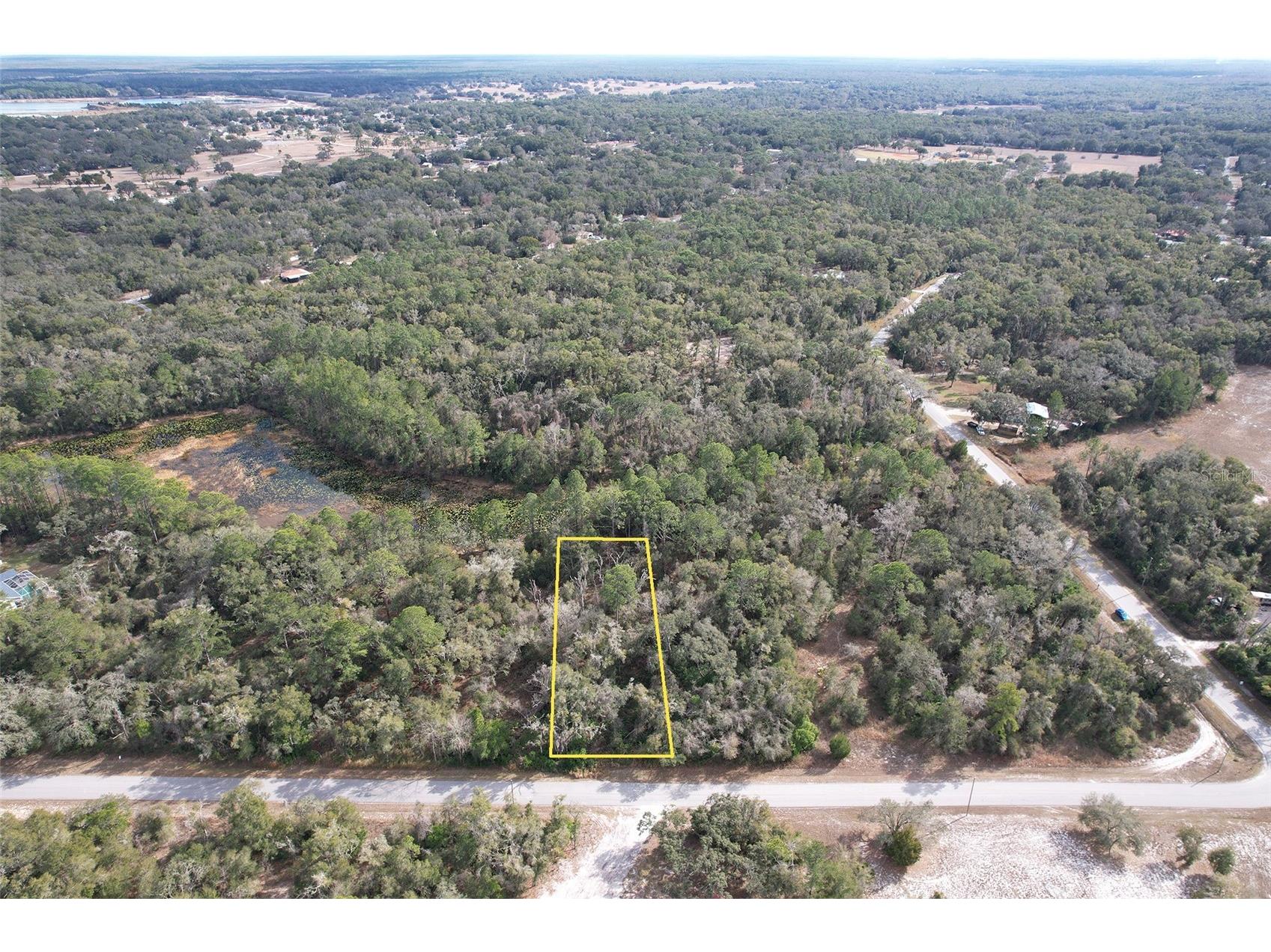 Lewis Lane Webster FL 33597 TB8467807 image1