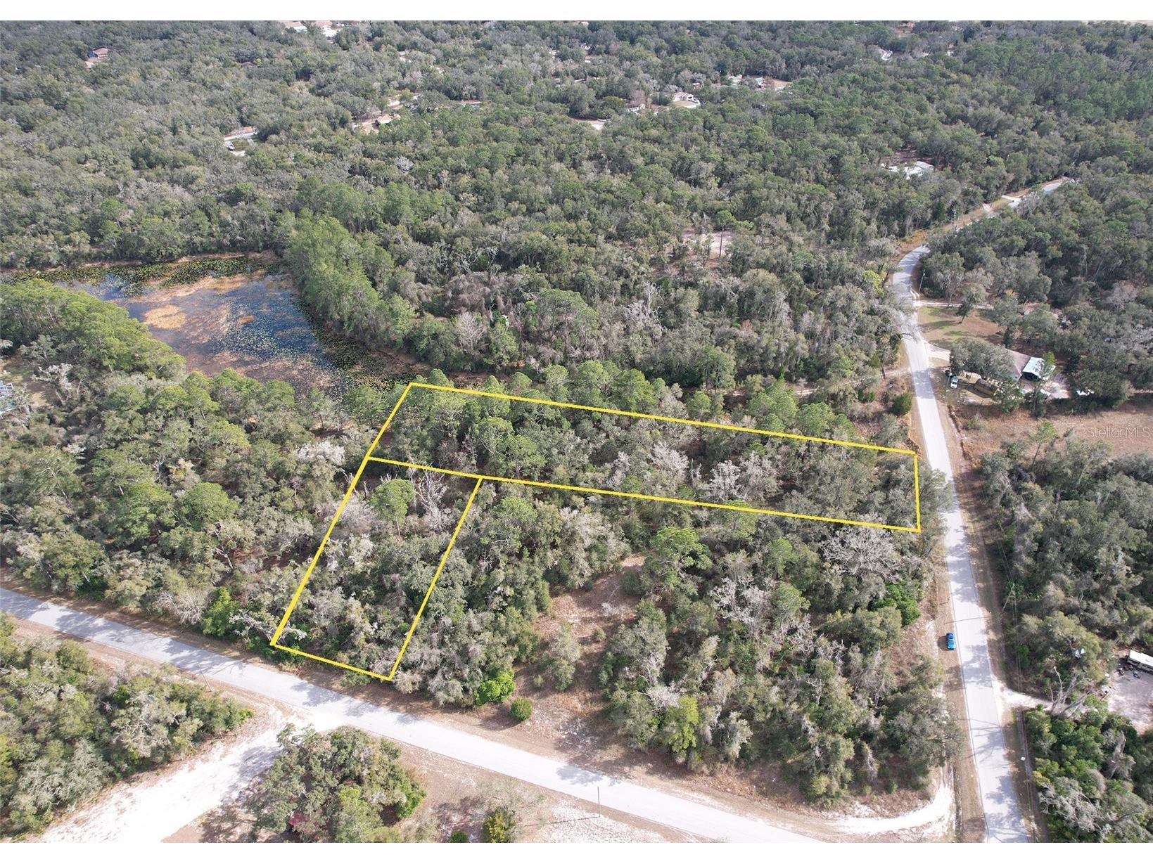 Lewis Lane Webster FL 33597 TB8467807 image2