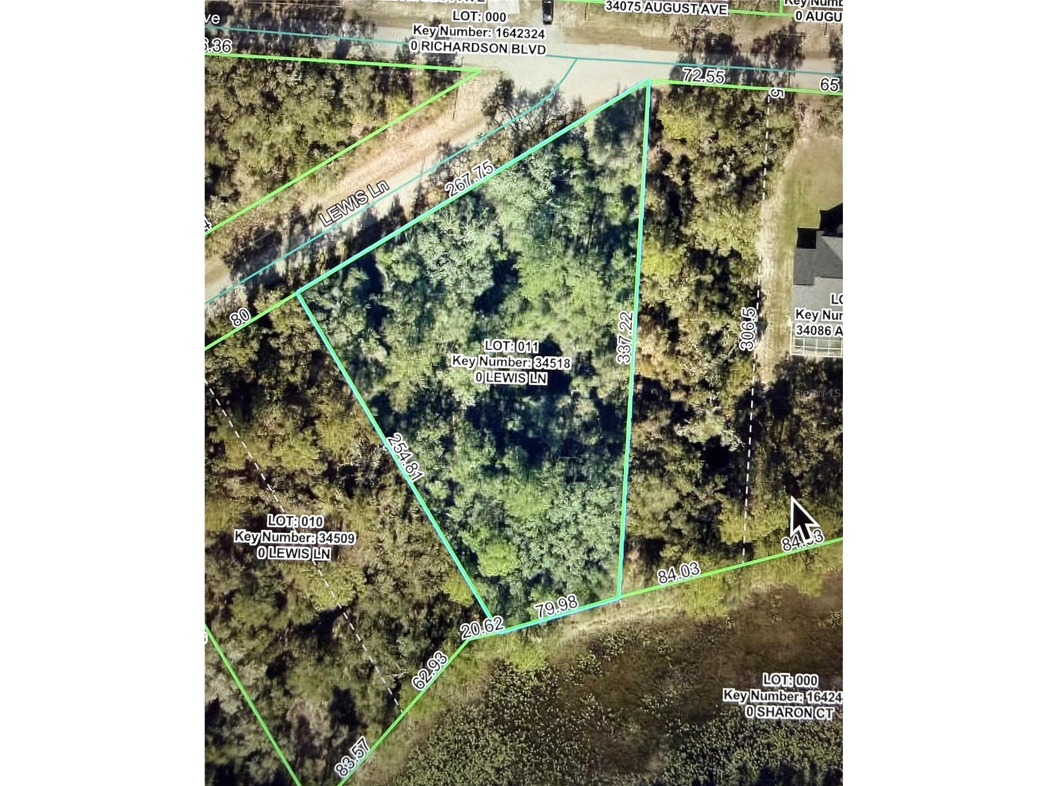 Lewis Lane Webster FL 33597 W7885544 image1