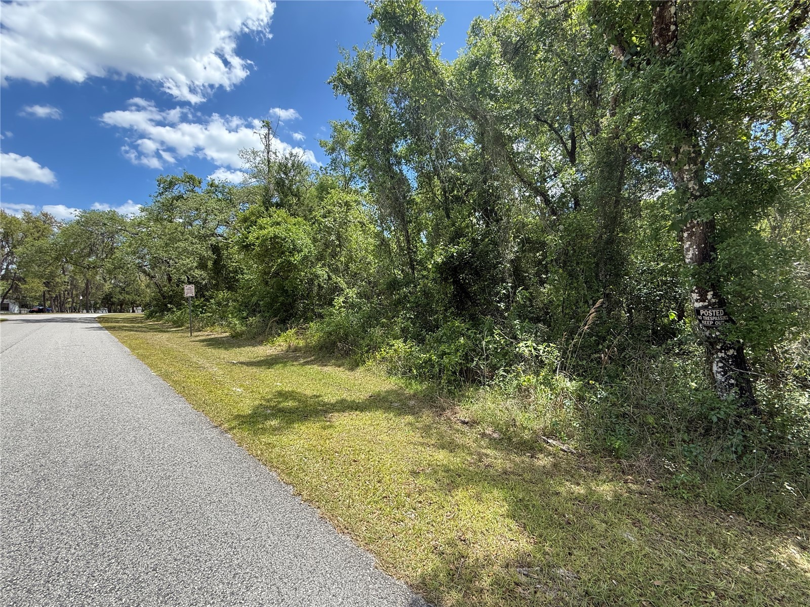 Lewis Lane Webster FL 33597 W7885544 image11