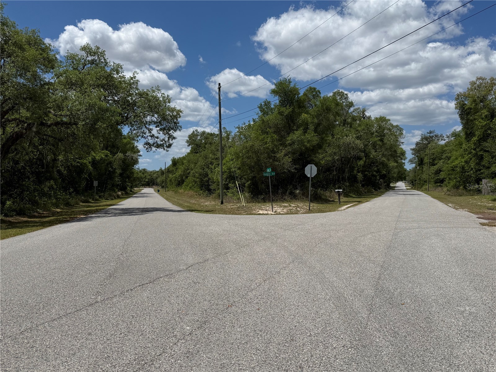 Lewis Lane Webster FL 33597 W7885544 image3