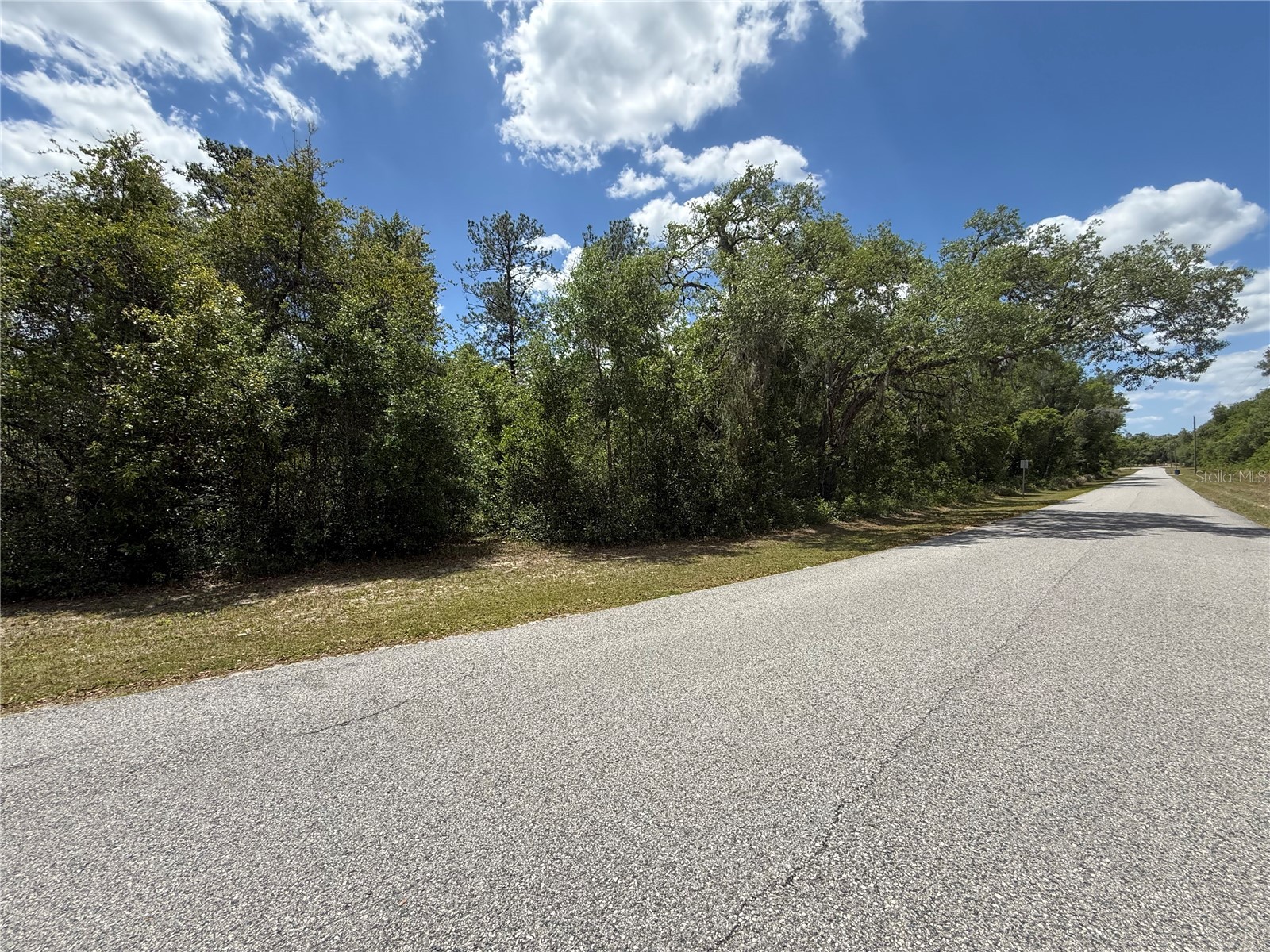 Lewis Lane Webster FL 33597 W7885544 image4