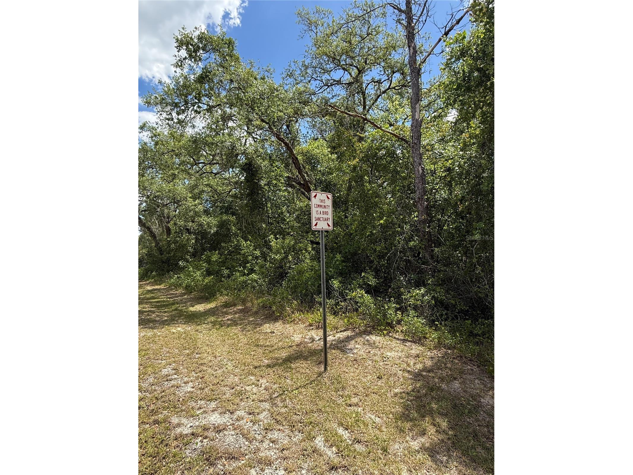 Lewis Lane Webster FL 33597 W7885544 image7