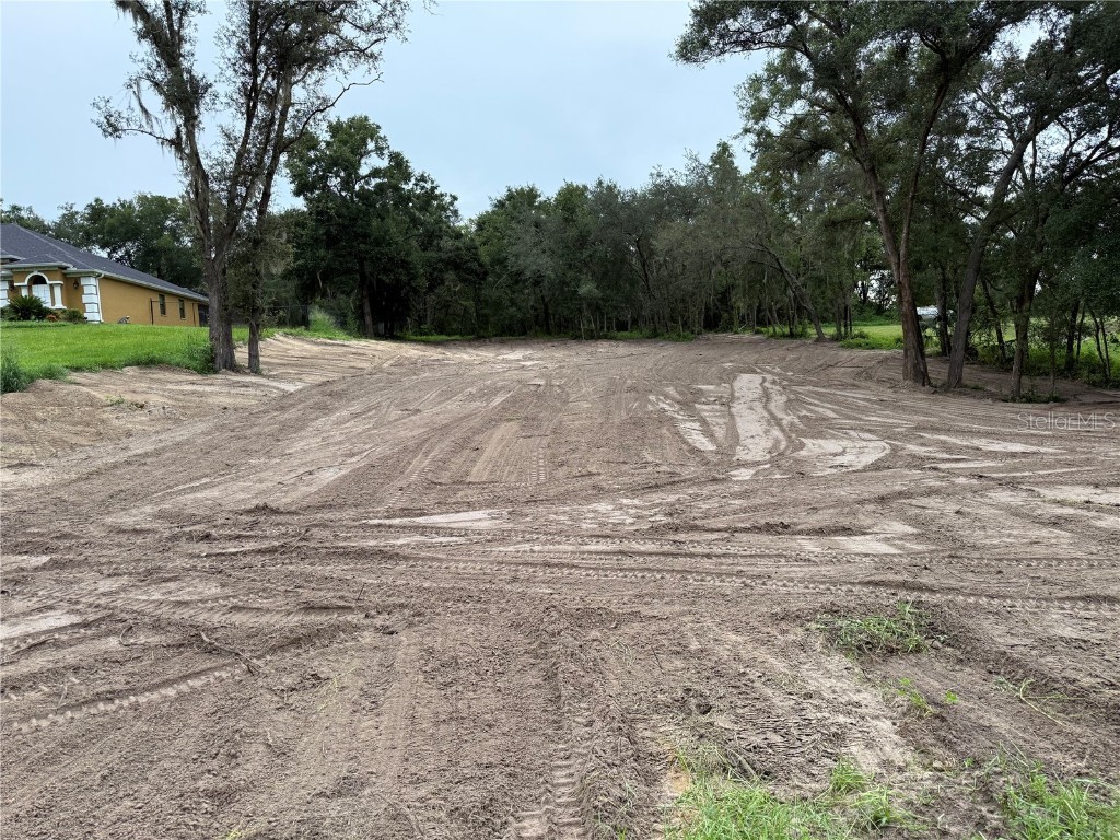 Lewis Road Fruitland Park FL 34731 G5101332 image2