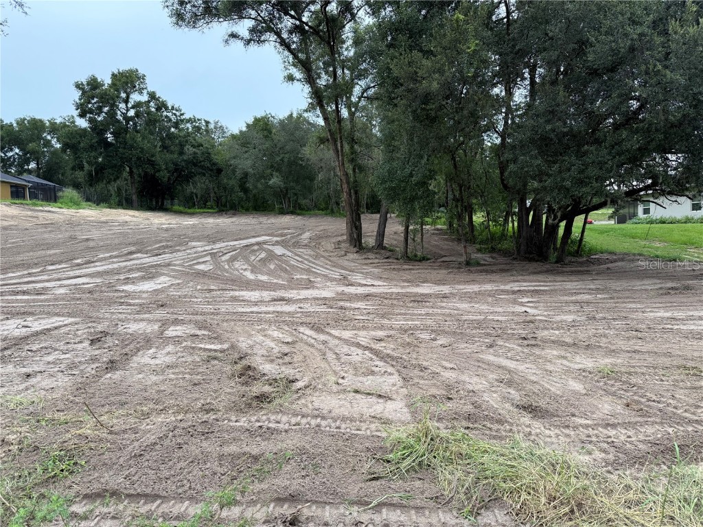 Lewis Road Fruitland Park FL 34731 G5101332 image3