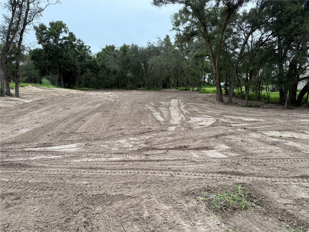 Lewis Road Fruitland Park FL 34731 G5101332 image6