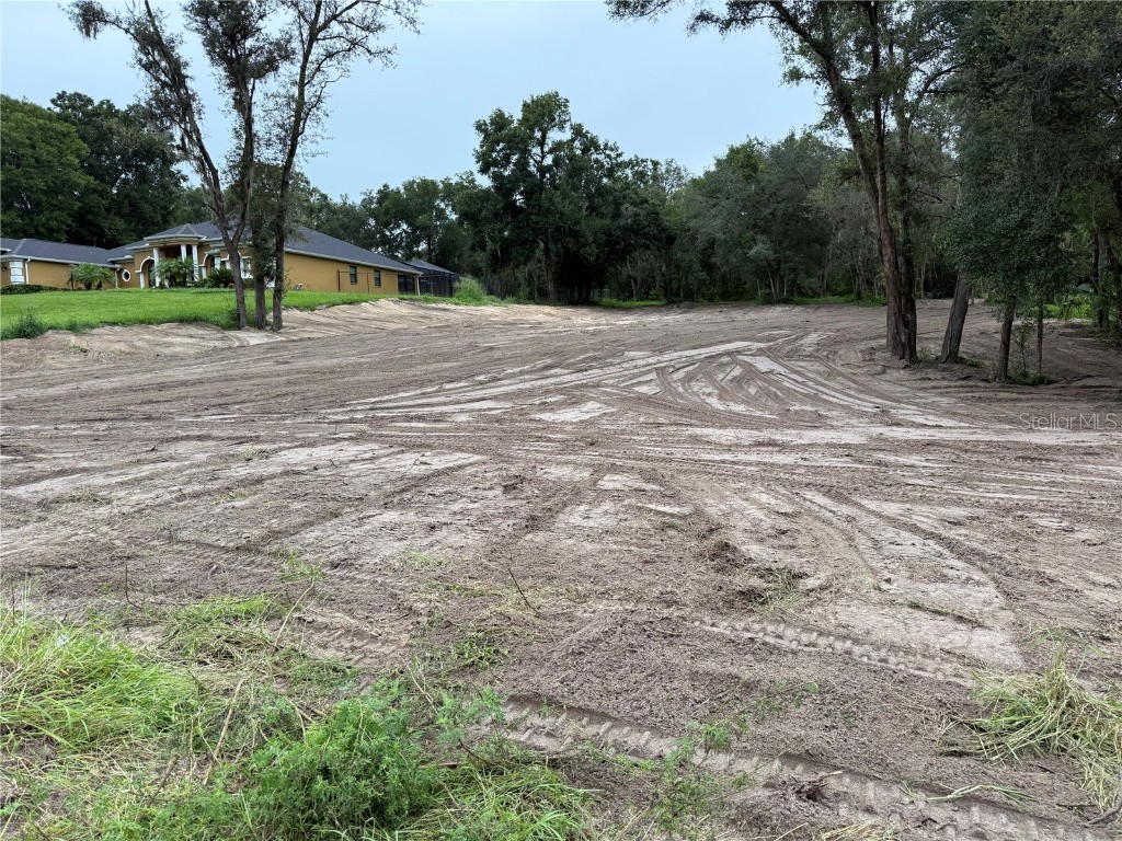 Lewis Road Fruitland Park FL 34731 G5101332 image8