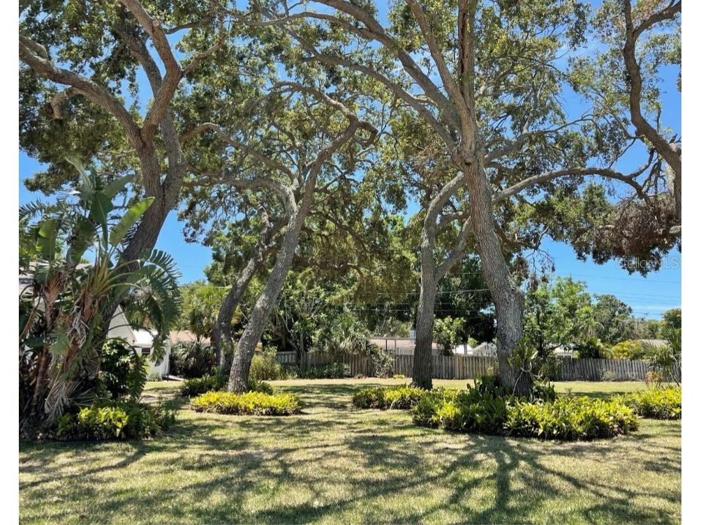 Lexington Street Sarasota FL 34231 O6208525 image1