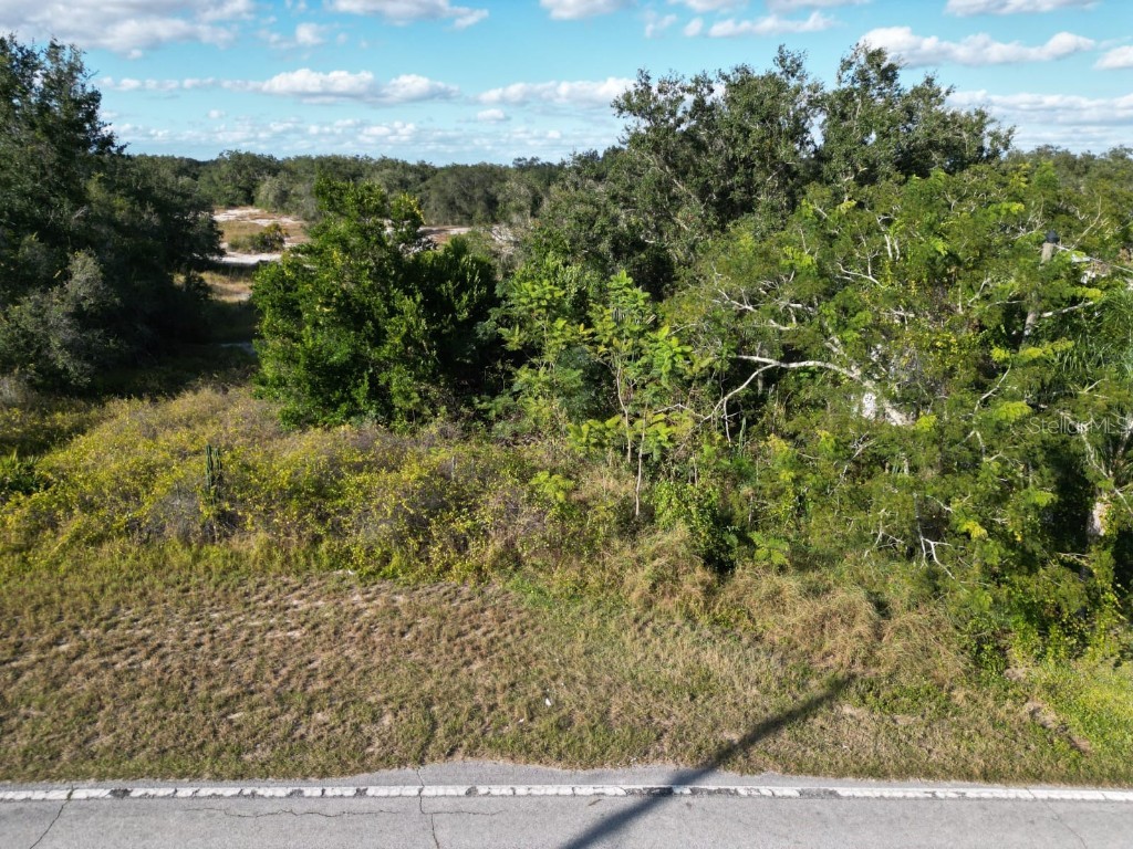 Libby Road Babson Park FL 33827 P4936890 image6