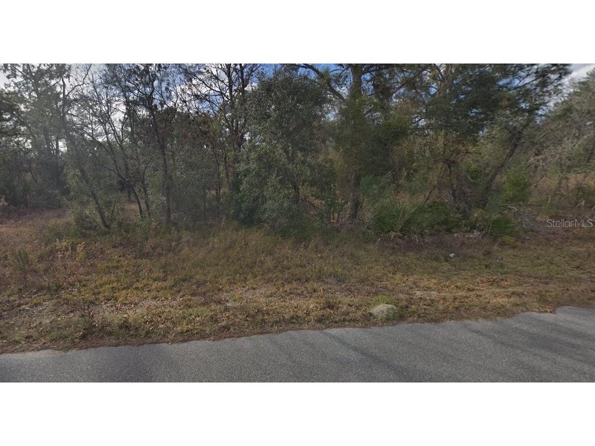 Liberto Road Weeki Wachee FL 34614 OK223696 image1