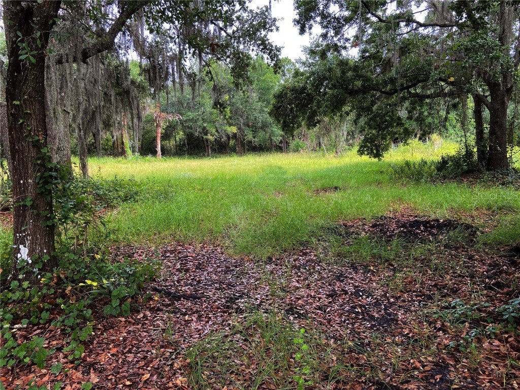 Lightfoot Road Wimauma FL 33598 T3550764 image1