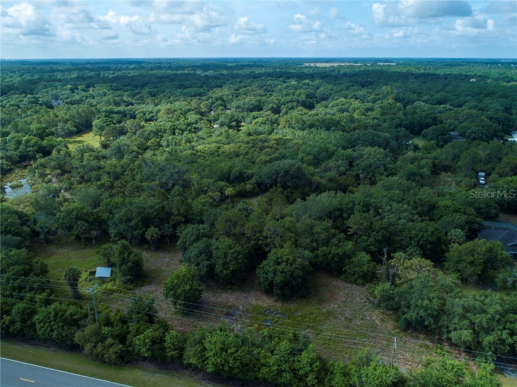 Lightfoot Road Wimauma FL 33598 T3550764 image10