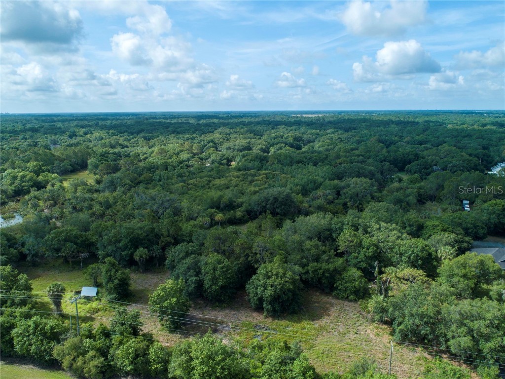 Lightfoot Road Wimauma FL 33598 T3550764 image11
