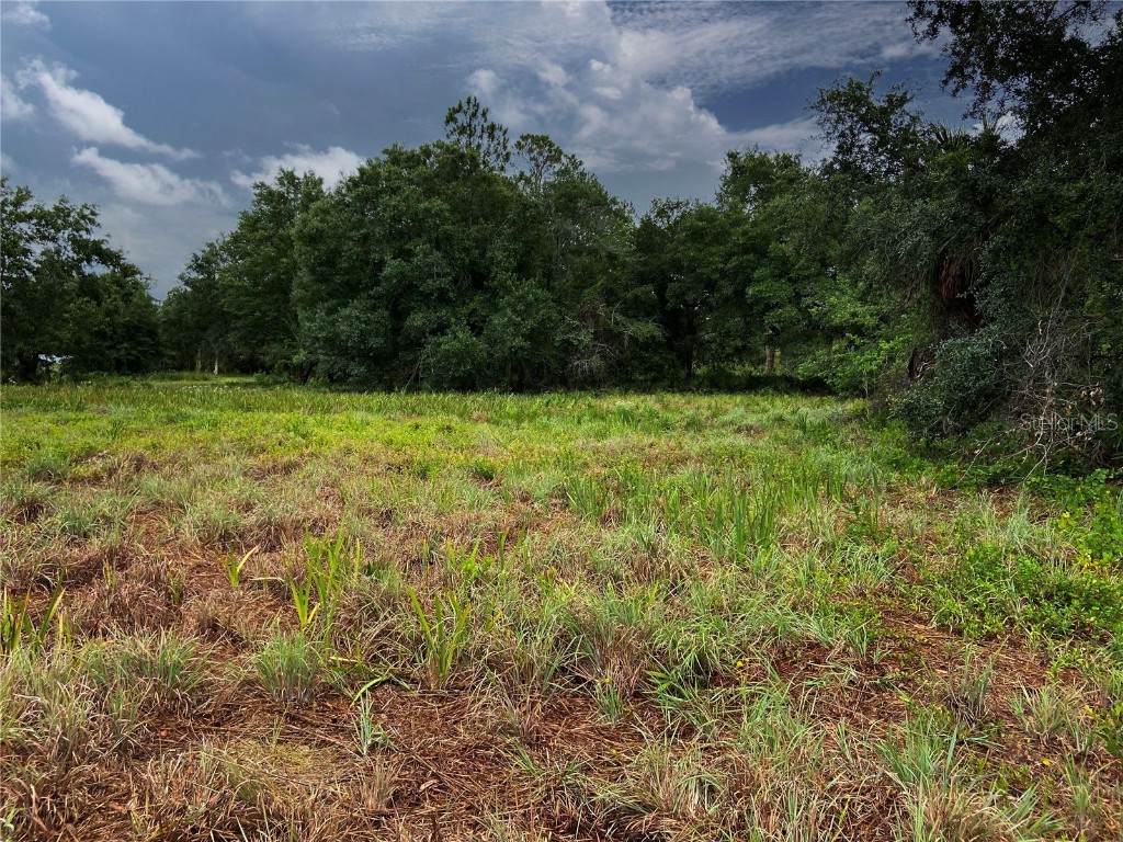 Lightfoot Road Wimauma FL 33598 T3550764 image13