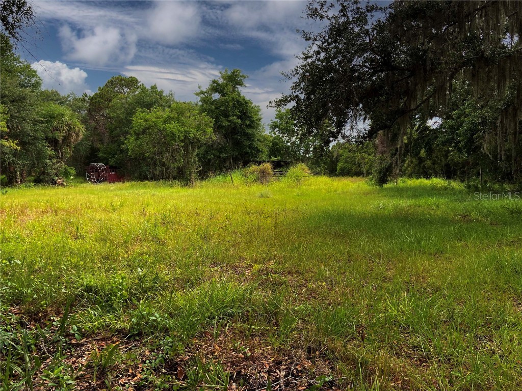 Lightfoot Road Wimauma FL 33598 T3550764 image14