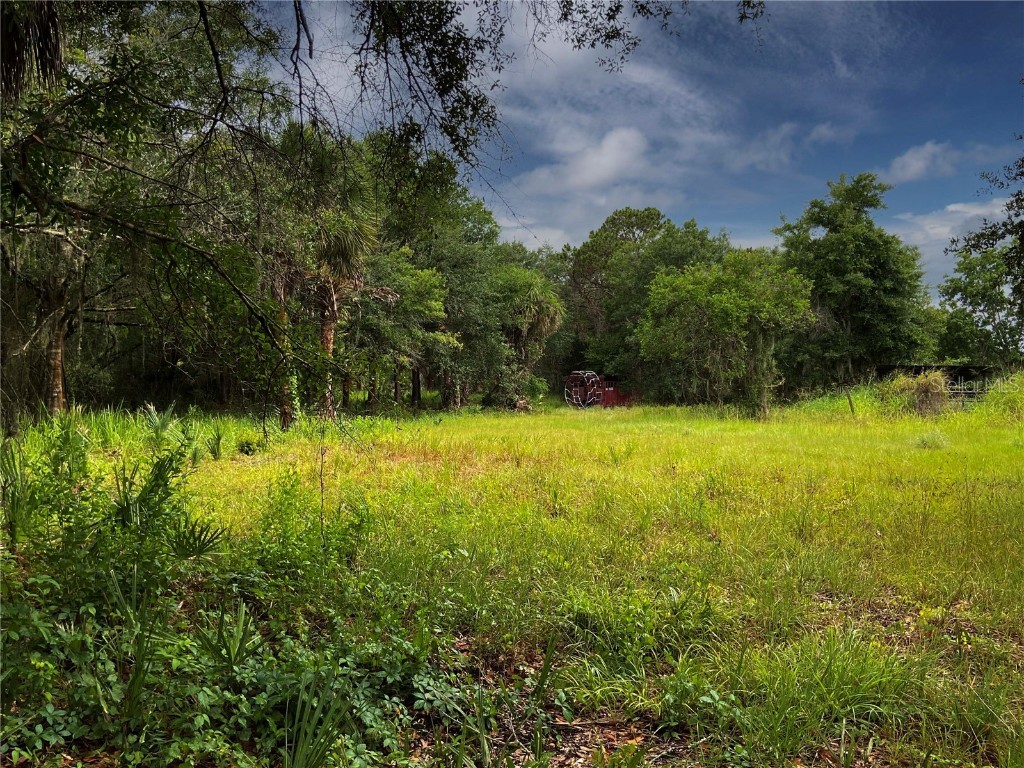 Lightfoot Road Wimauma FL 33598 T3550764 image15