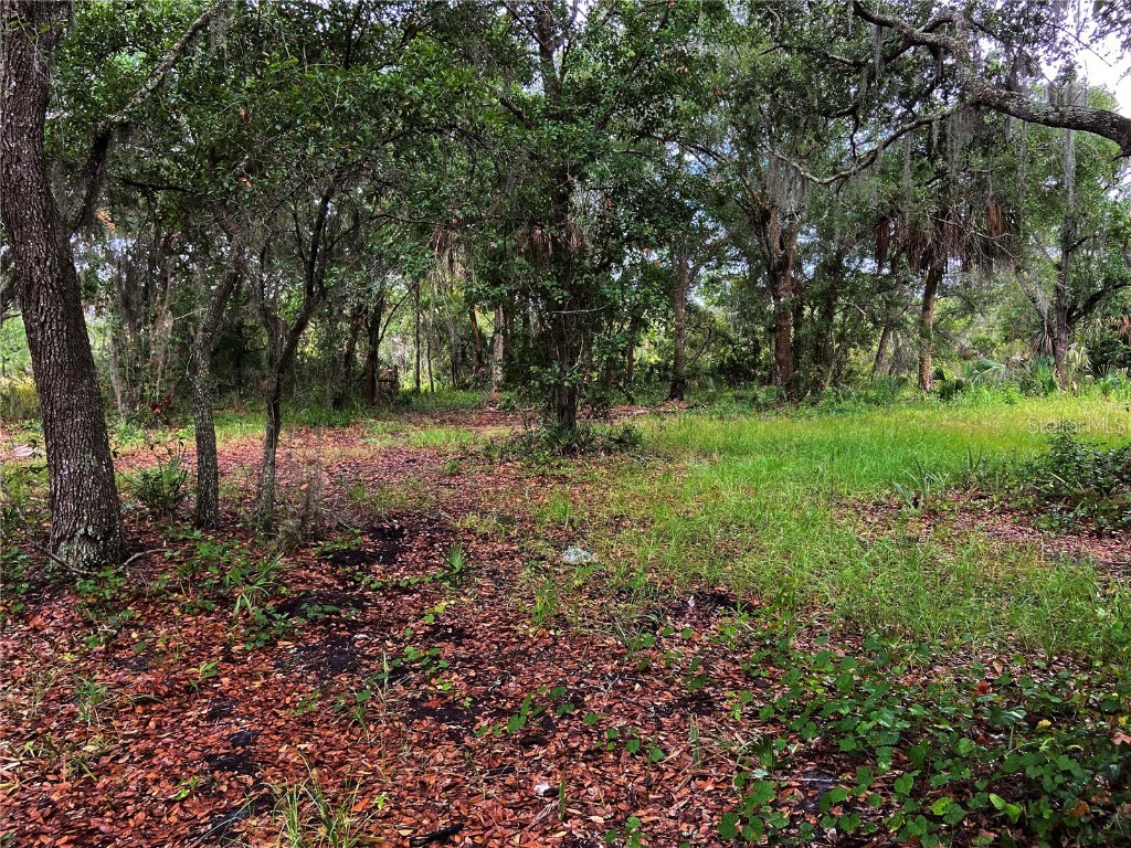 Lightfoot Road Wimauma FL 33598 T3550764 image16