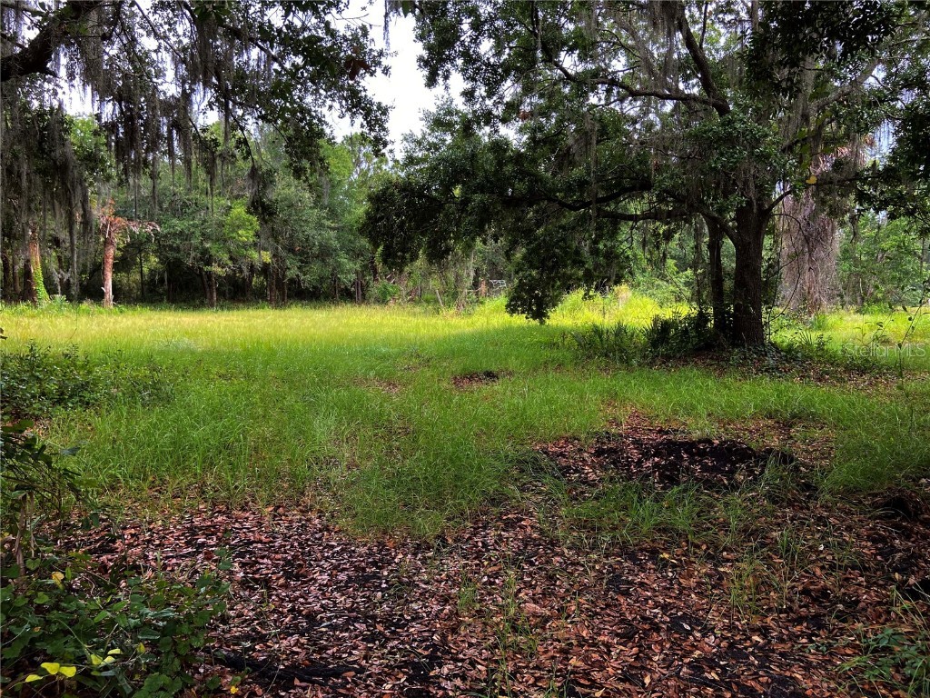 Lightfoot Road Wimauma FL 33598 T3550764 image2