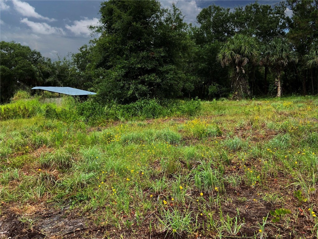 Lightfoot Road Wimauma FL 33598 T3550764 image3