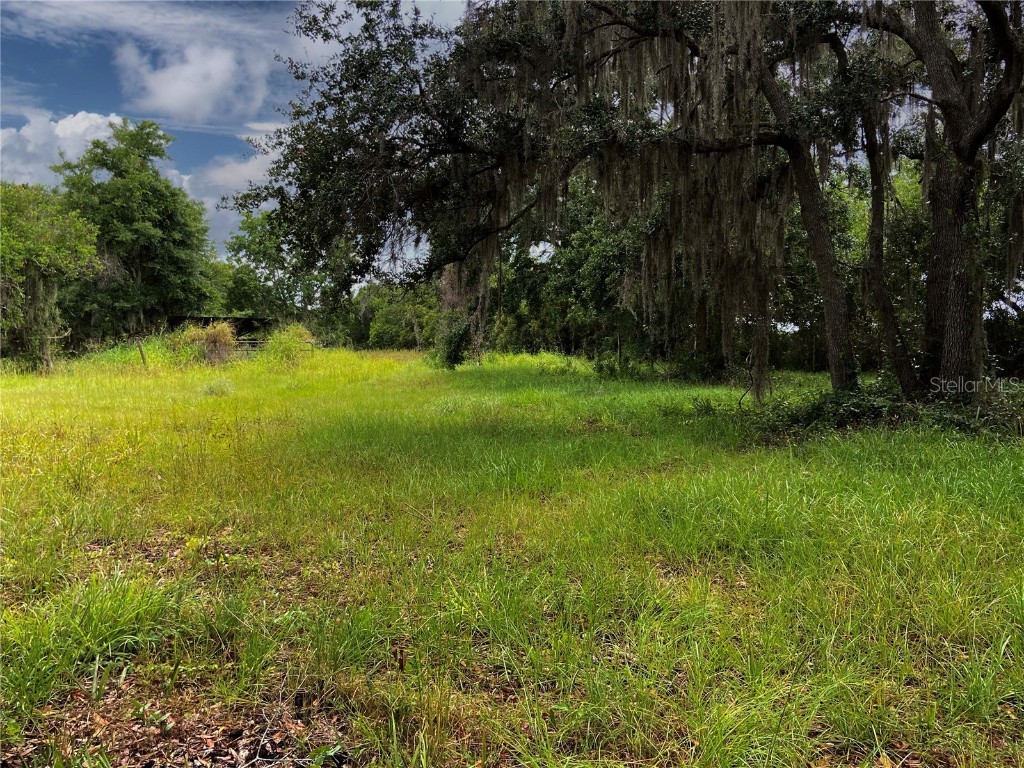 Lightfoot Road Wimauma FL 33598 T3550764 image4
