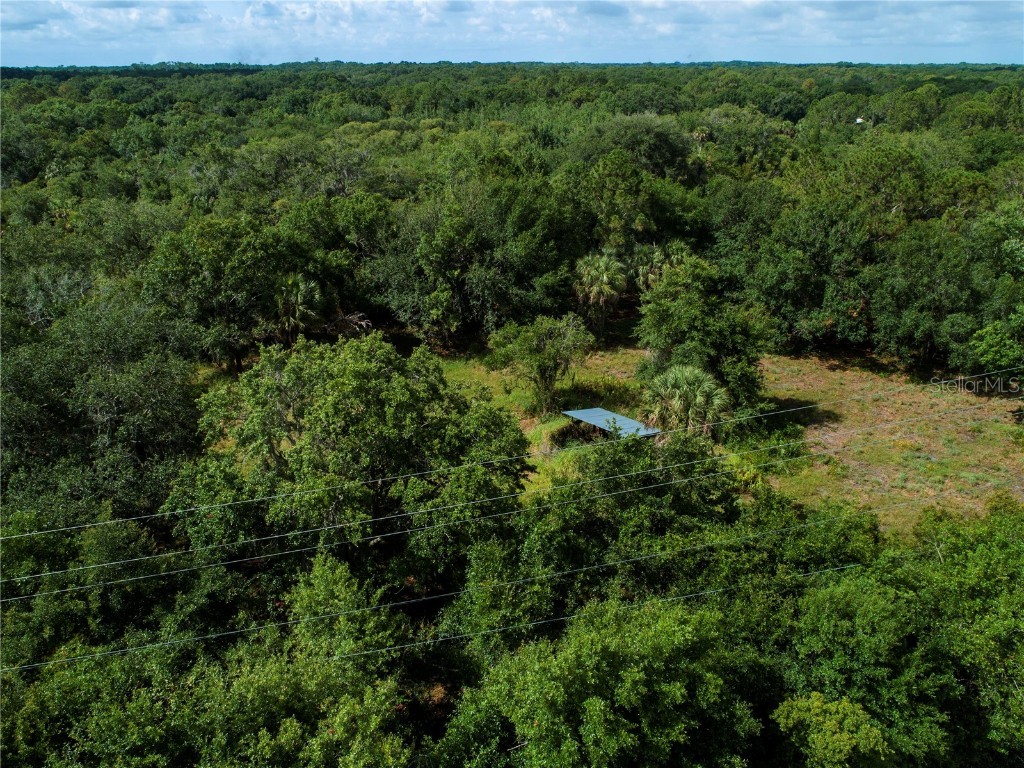 Lightfoot Road Wimauma FL 33598 T3550764 image8