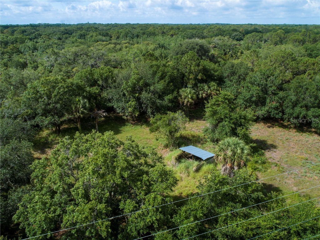 Lightfoot Road Wimauma FL 33598 T3550764 image9