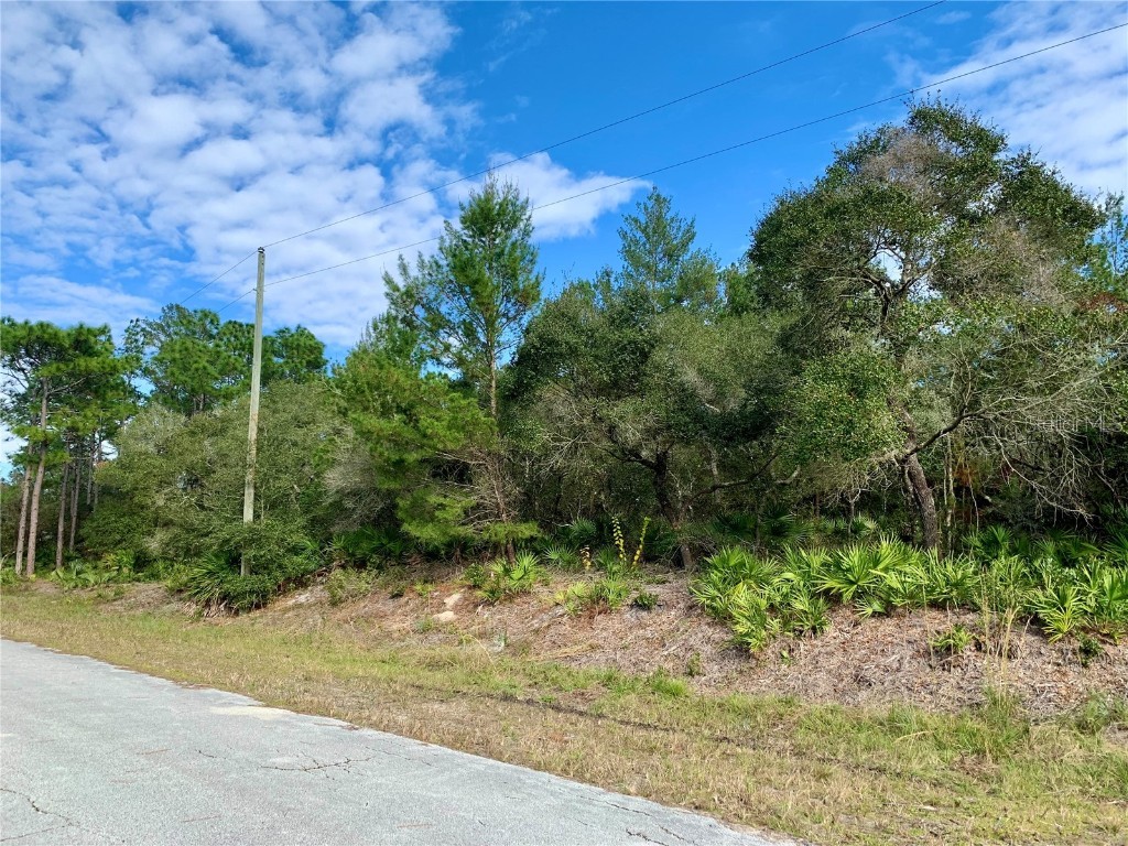 Ligustrum Street Eustis FL 32736 - LAKE NORRIS G5063528 image1