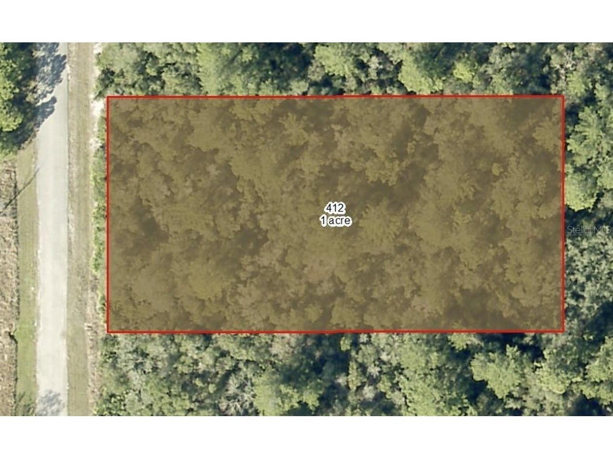 Ligustrum Street Eustis FL 32736 O6361831 image1