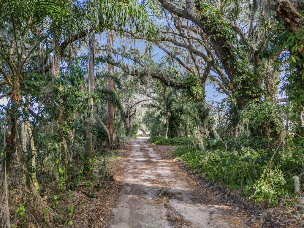 Lillian Black Road Saint Cloud FL 34771 O6189858 image1