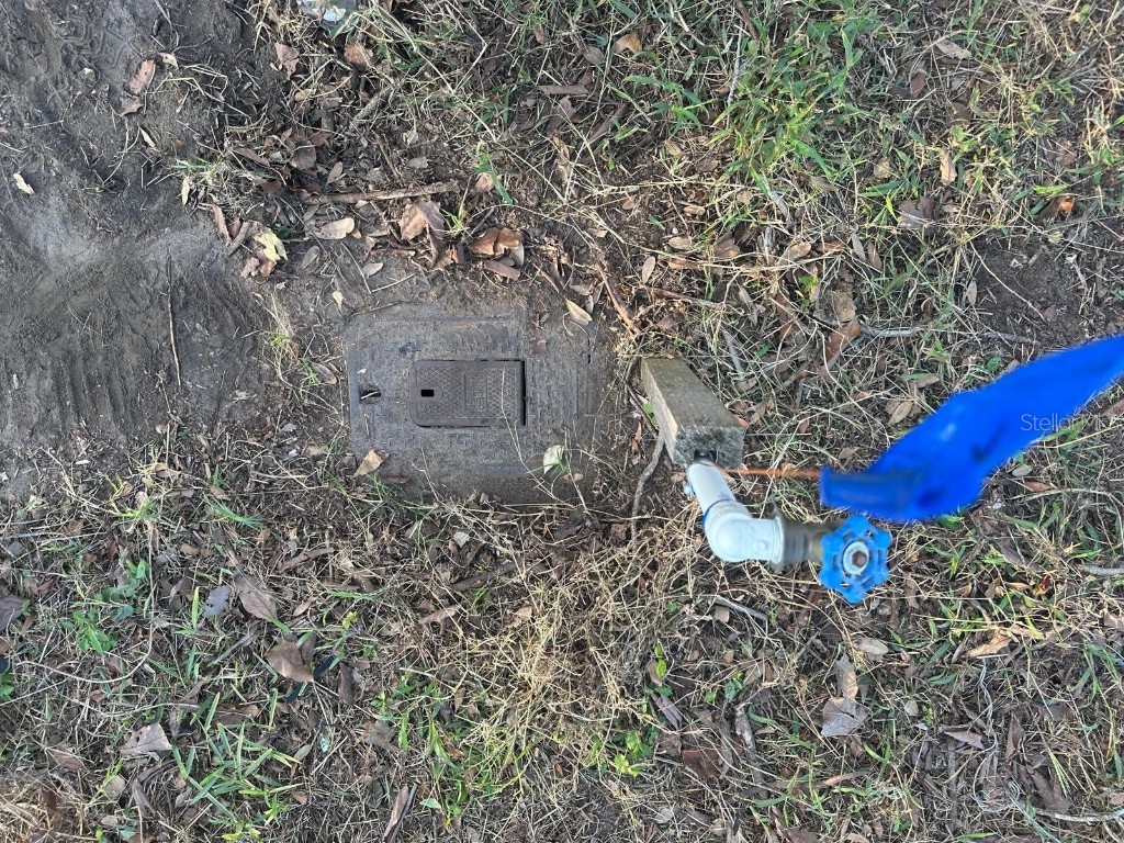 Lime Avenue Seffner FL 33584 TB8449510 image6